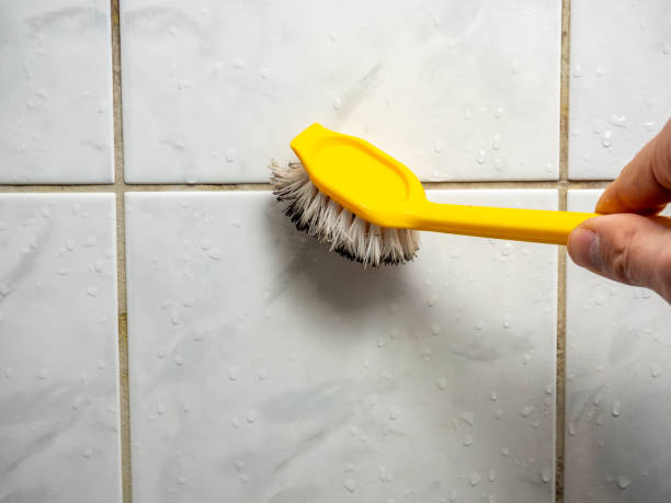 Best Localized Mold Remediation (e.g., coastal areas, humid climates) in College Station, TX