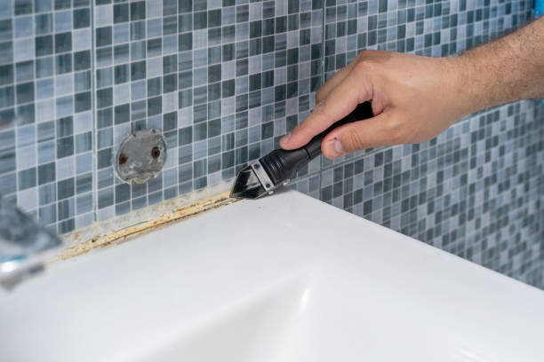 Best Mold Remediation for Specific Building Types in College Station, TX