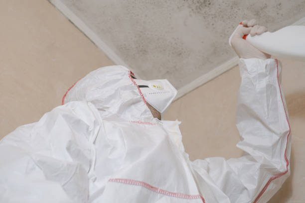 Best Mold Testing and Inspection Services in College Station, TX